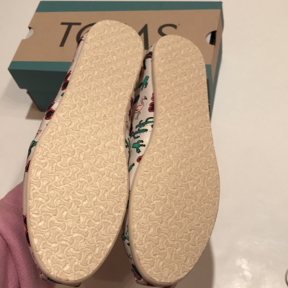 NWT TOM’S ALPARGATA CLOUD GREY FLAMINGO SUMMER VACAY CACTUS PRINT SHOES 6 womens - Picture 4 of 12